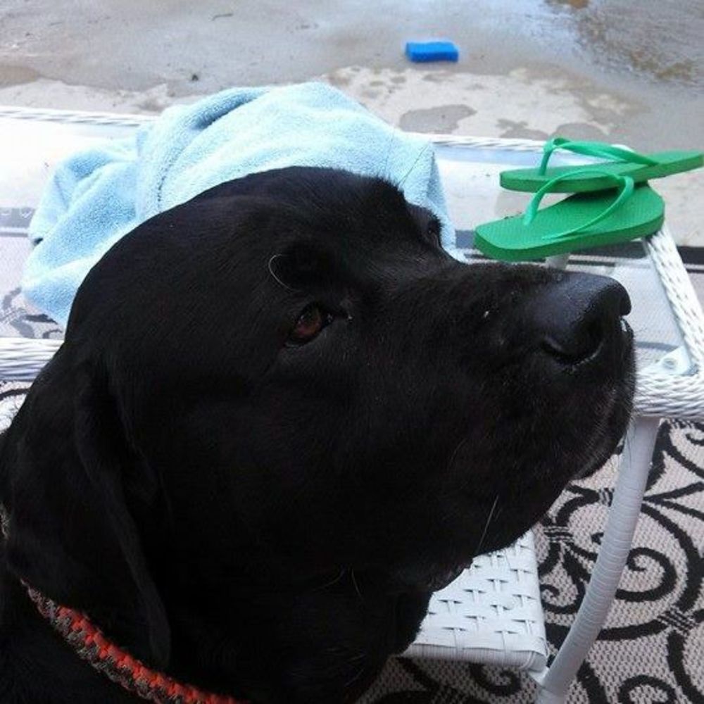 Meet your Posher, Jennifer